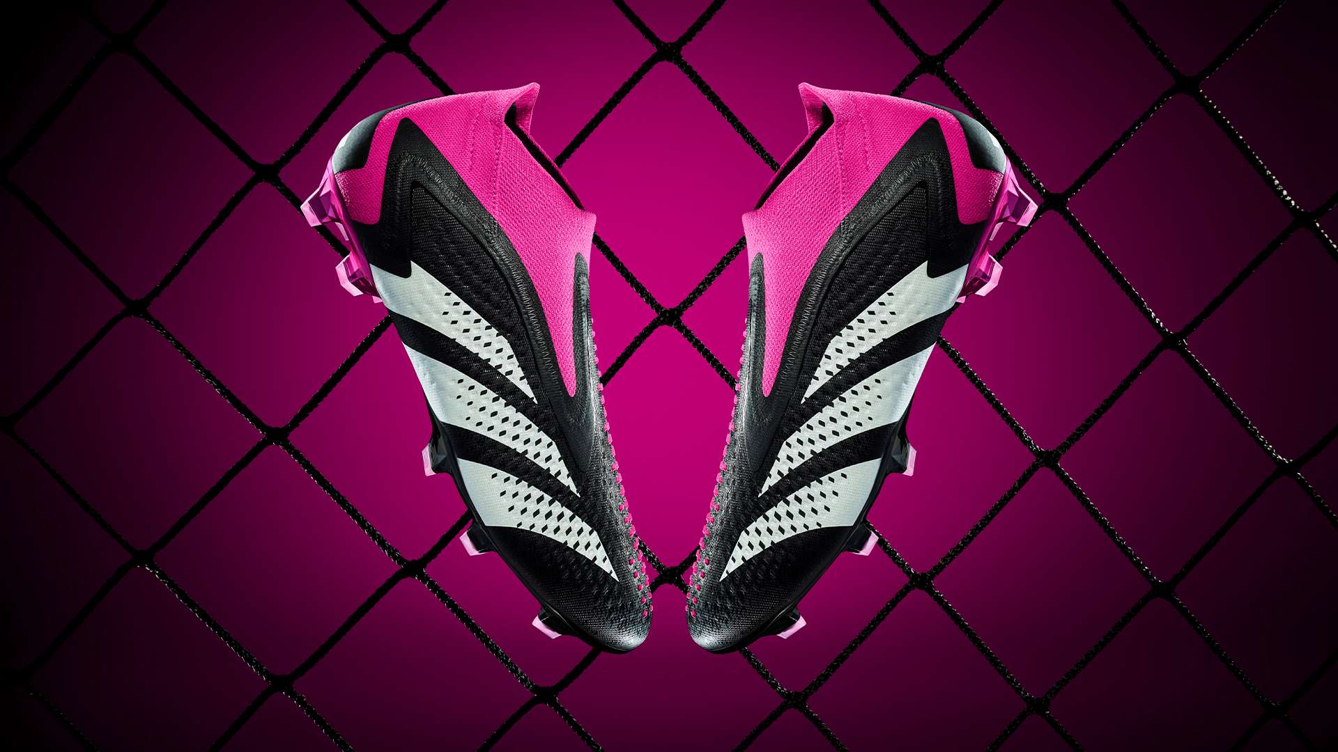 多特蒙德迅 多特蒙德迅